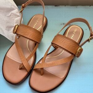 Cole Haan ladies Anica lux pecan brown leather buckle sandals, 8.5M, NIB